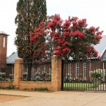 ErustPix (23) (Large)