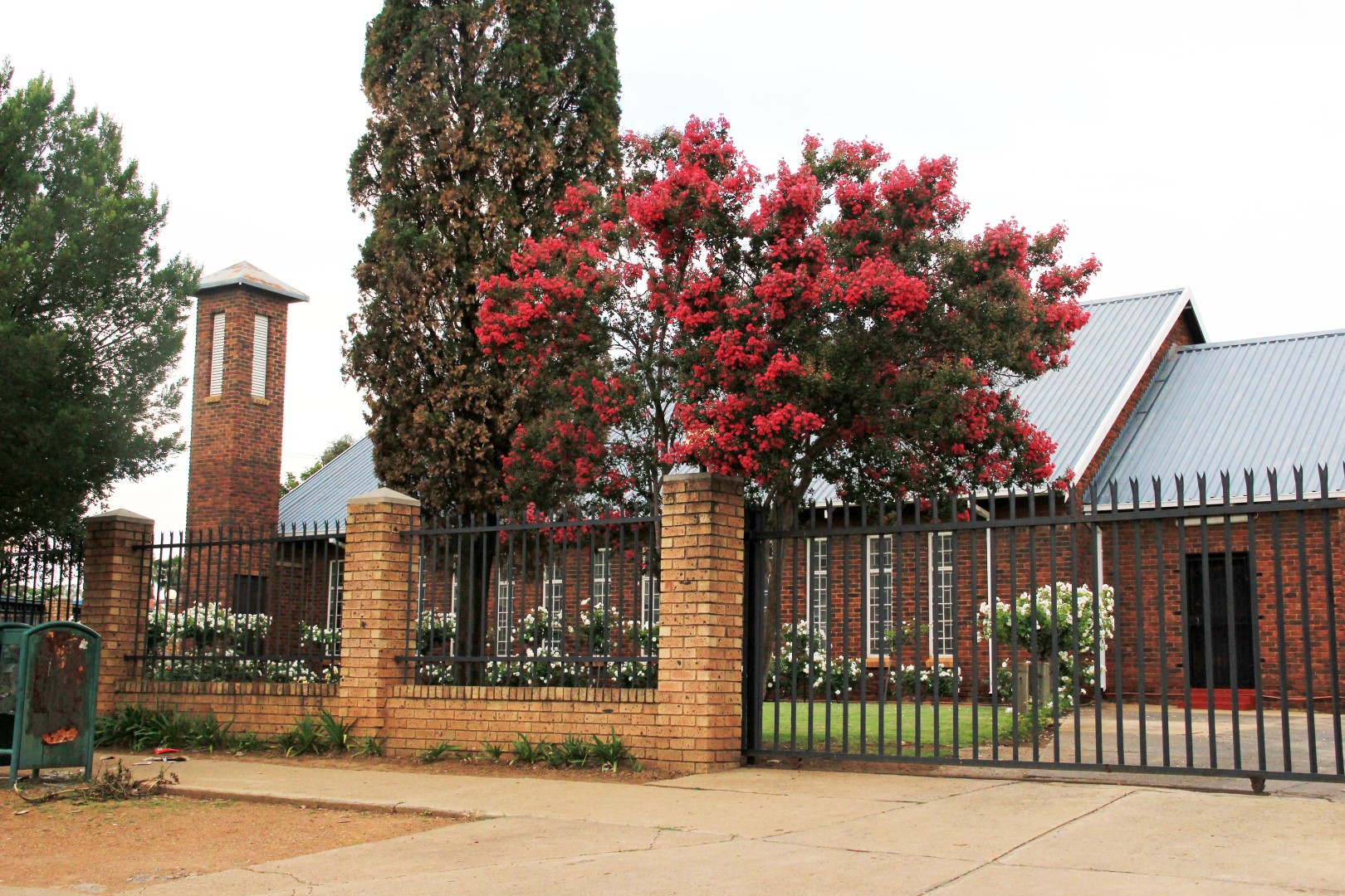 ErustPix (23) (Large)